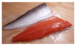 salmon