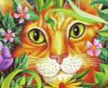 kitty