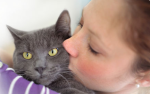 purina_game