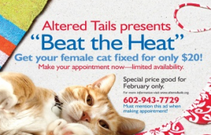 alterted_tails_$20